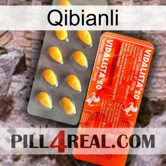 Qibianli new01